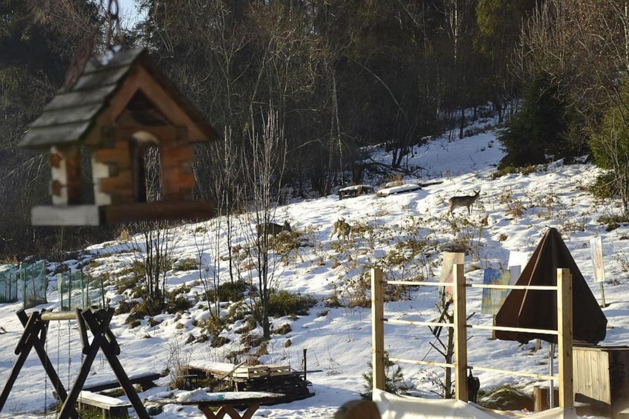 Mountain chalet SmoLenisko domek w górach Nowy Targ Zewnętrze zdjęcie