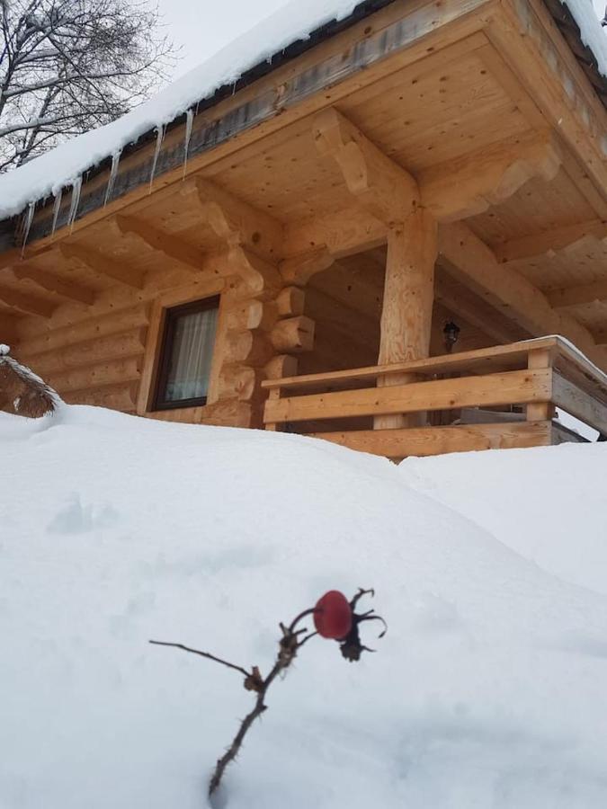 Mountain chalet SmoLenisko domek w górach Nowy Targ Zewnętrze zdjęcie