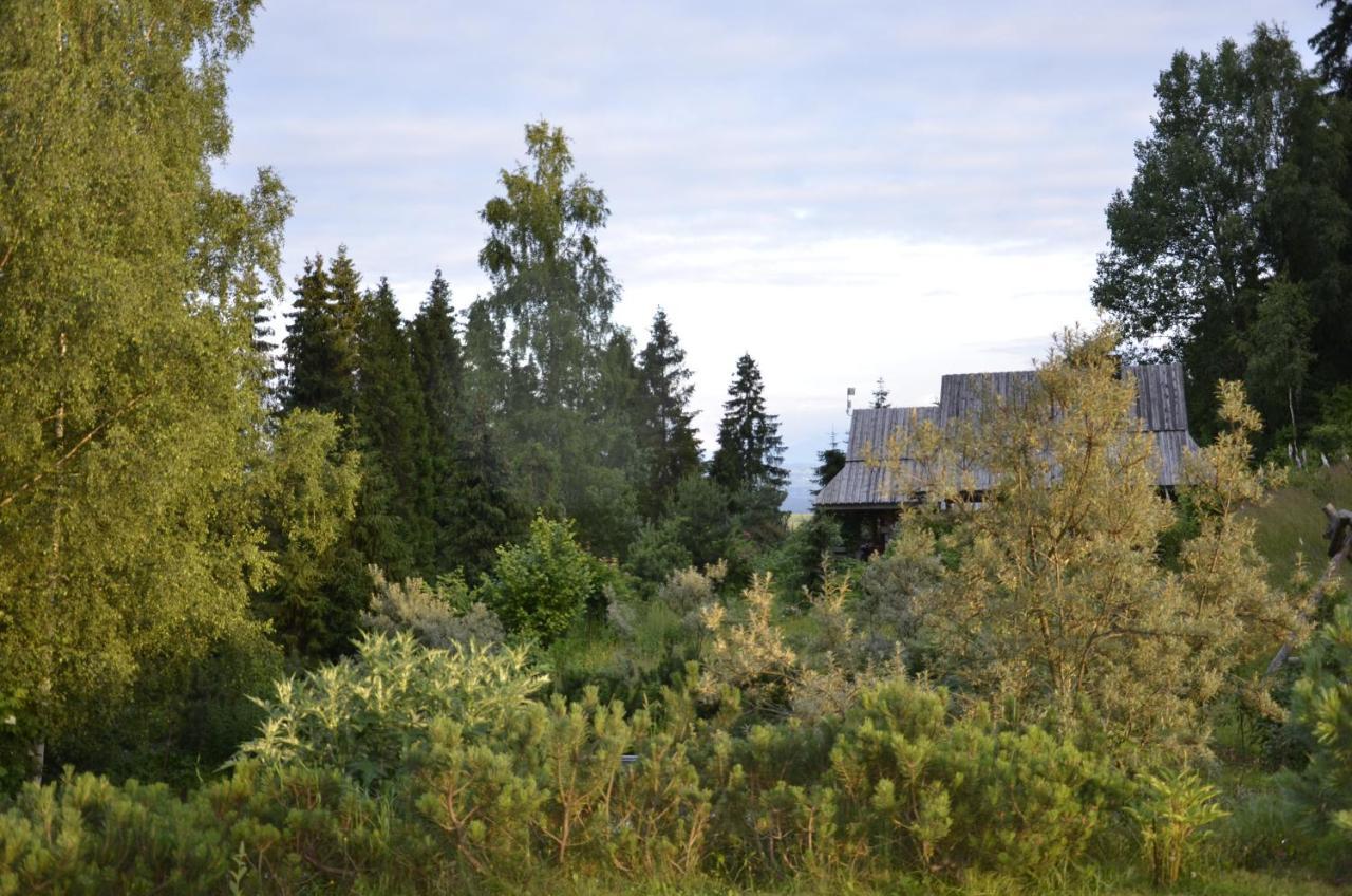 Mountain chalet SmoLenisko domek w górach Nowy Targ Zewnętrze zdjęcie