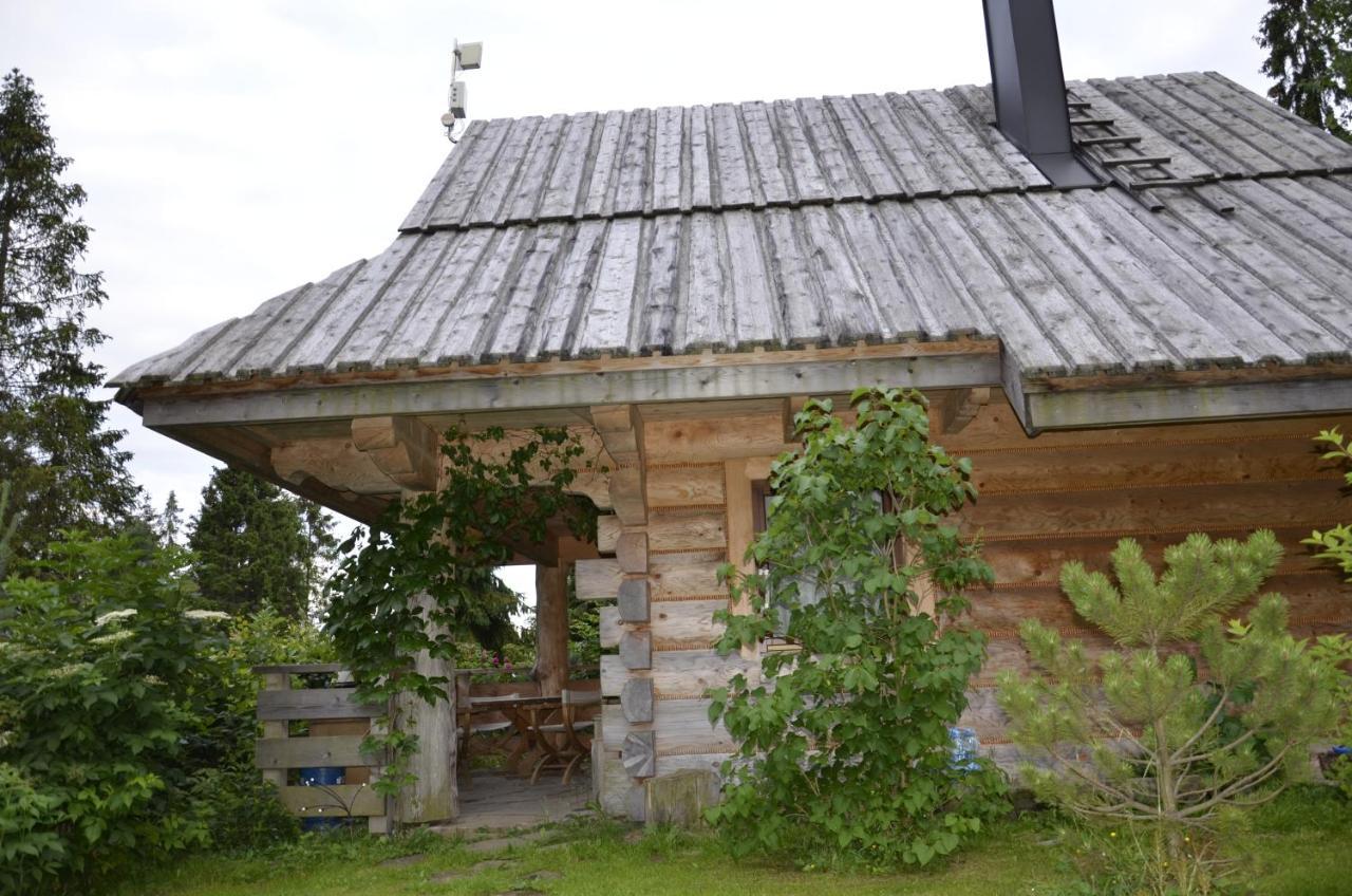 Mountain chalet SmoLenisko domek w górach Nowy Targ Zewnętrze zdjęcie