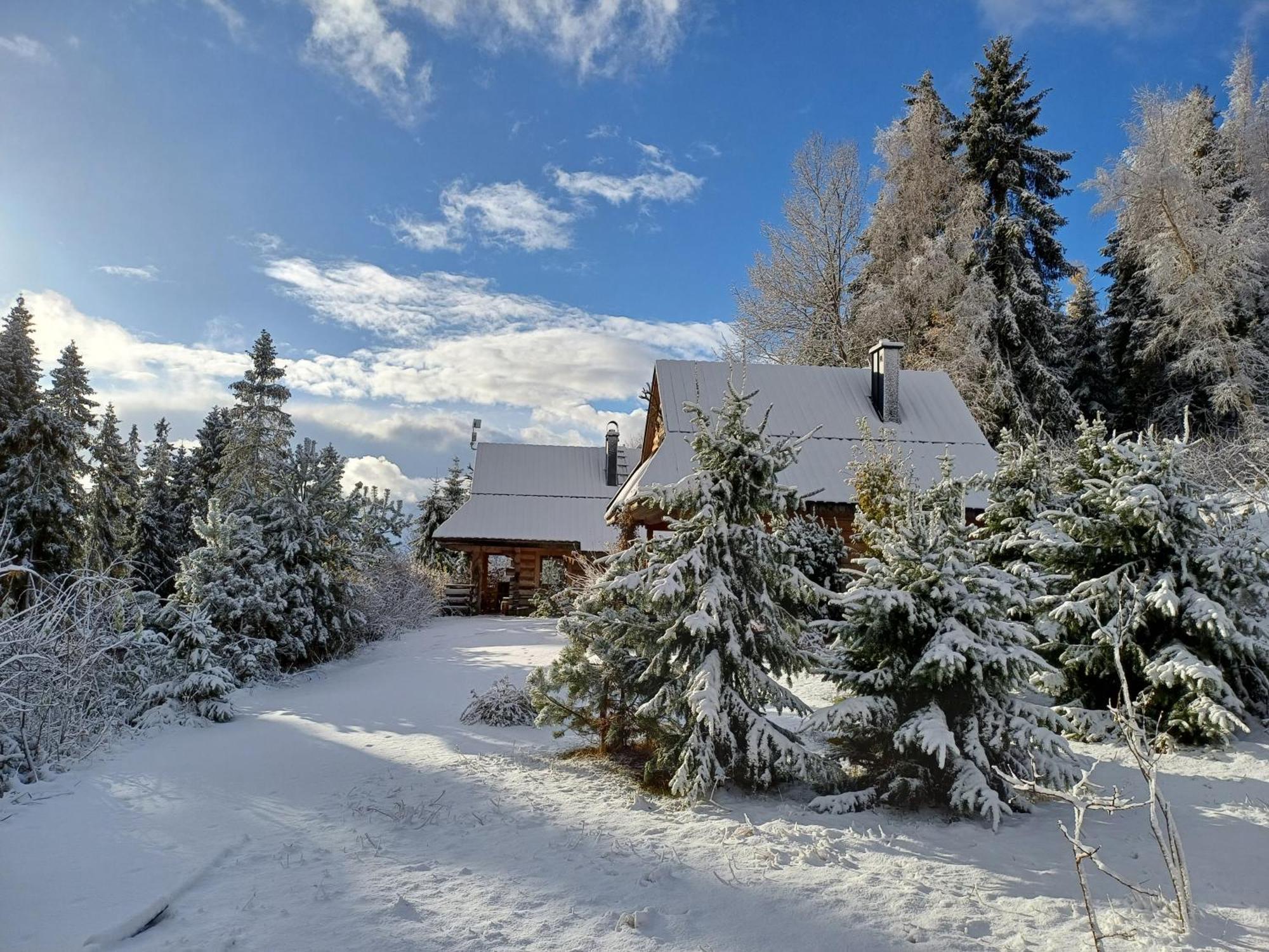 Mountain chalet SmoLenisko domek w górach Nowy Targ Zewnętrze zdjęcie