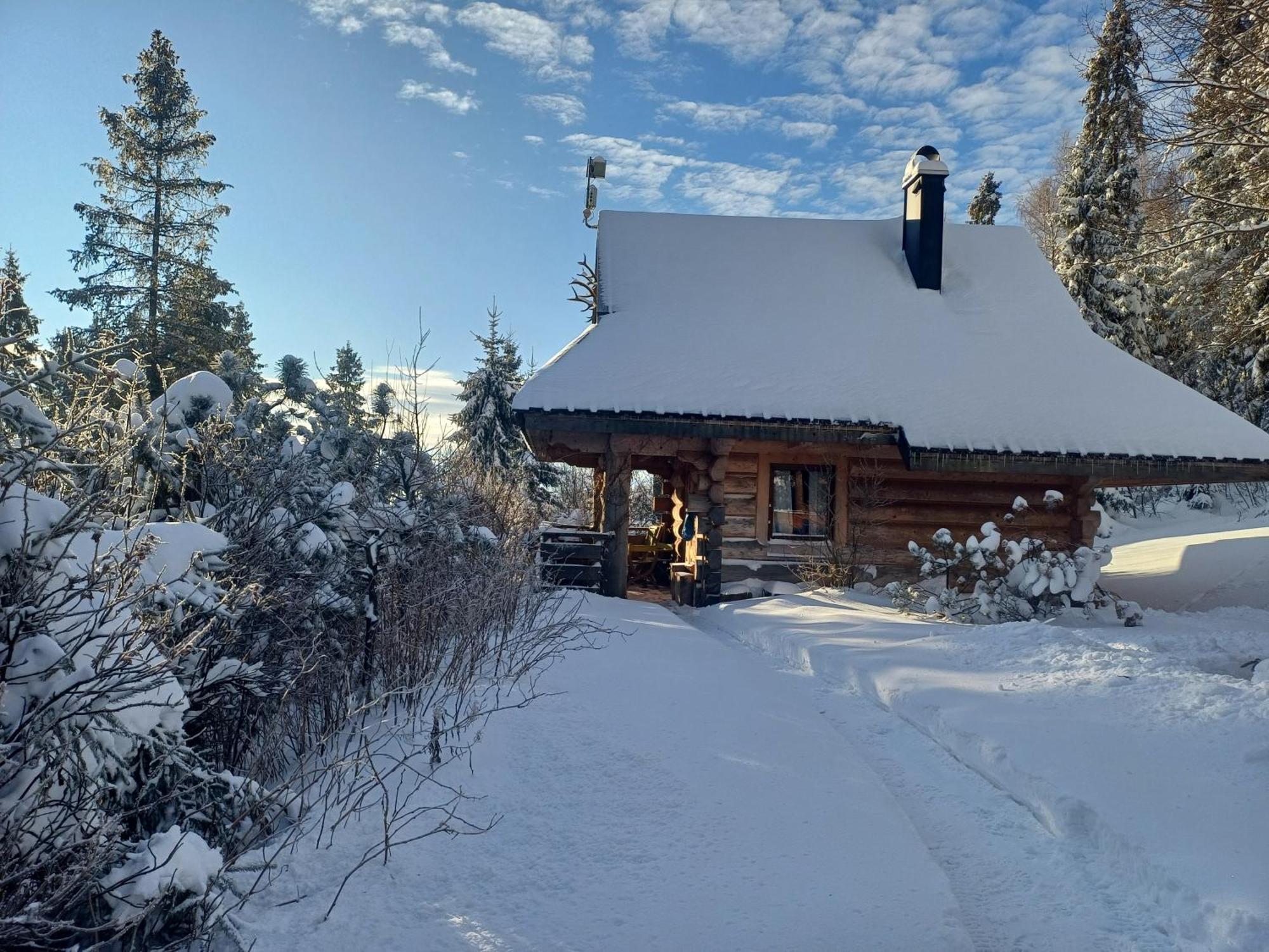 Mountain chalet SmoLenisko domek w górach Nowy Targ Zewnętrze zdjęcie